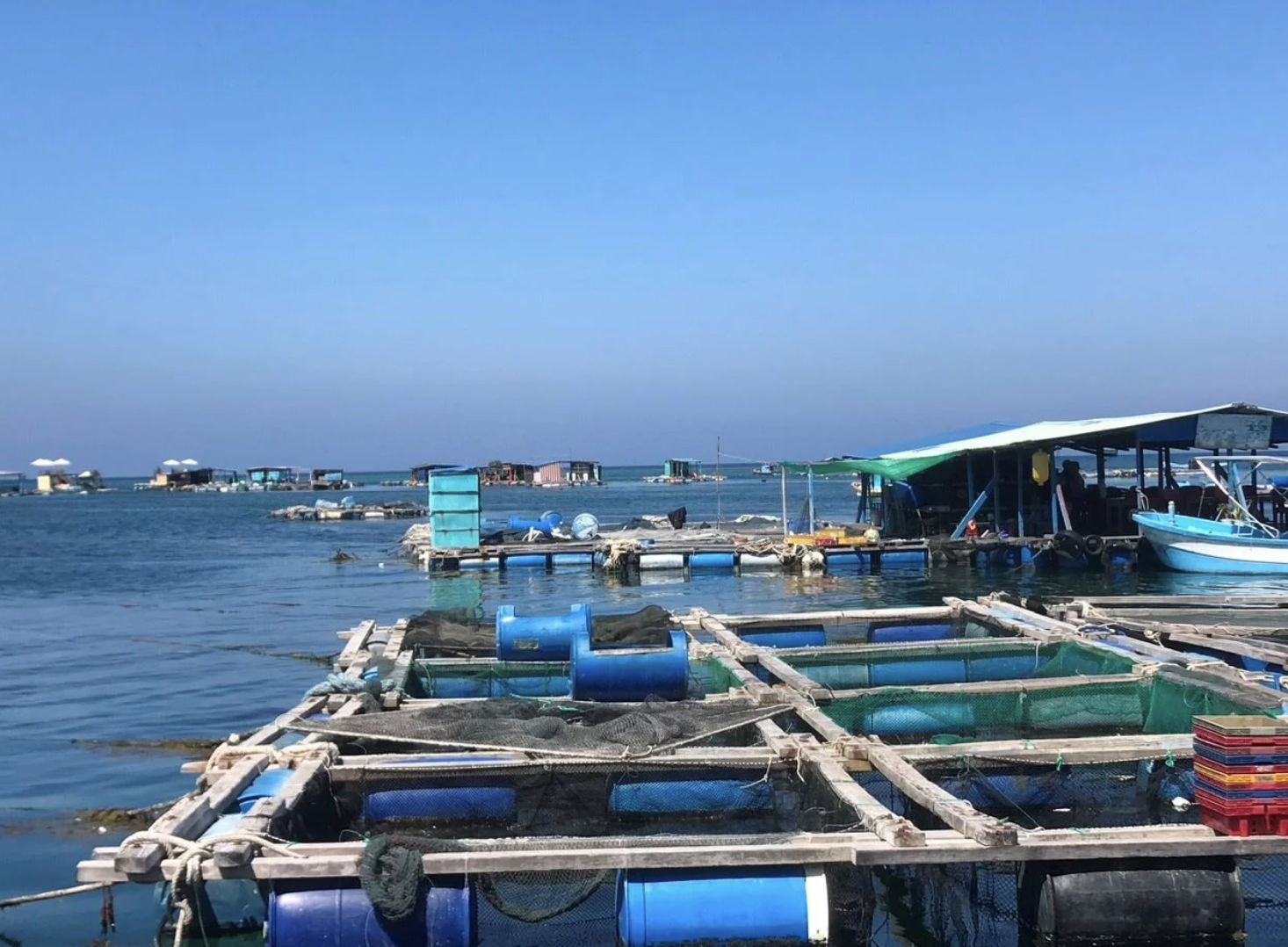 La acuicultura en jaulas marinas se concentra en siete zonas